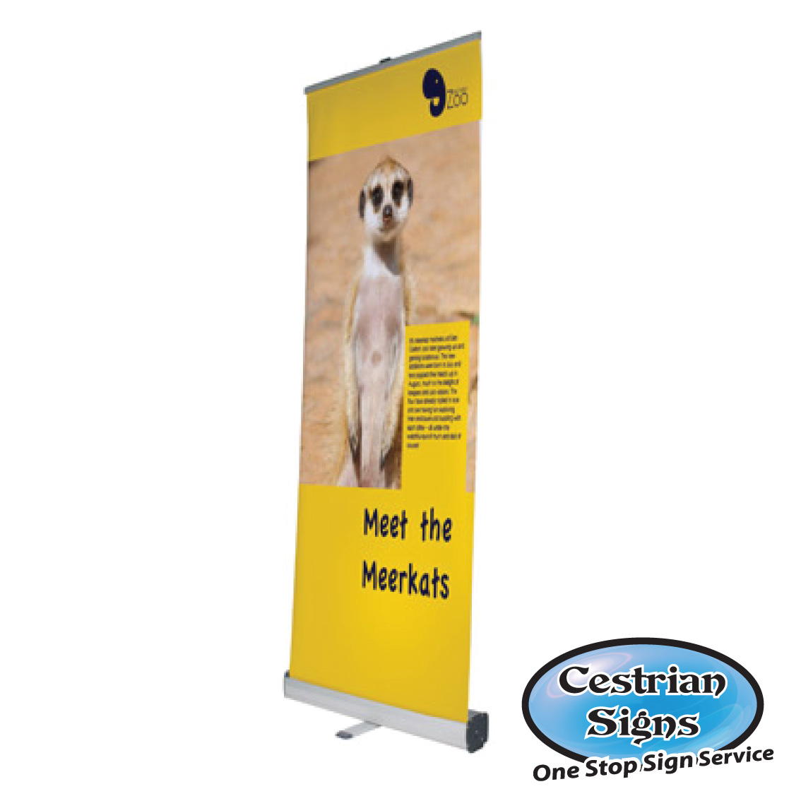 Pull up Banners 600 mm Wide