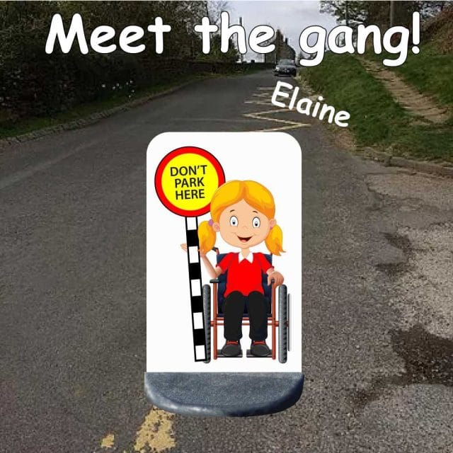 No parking school sign elaine